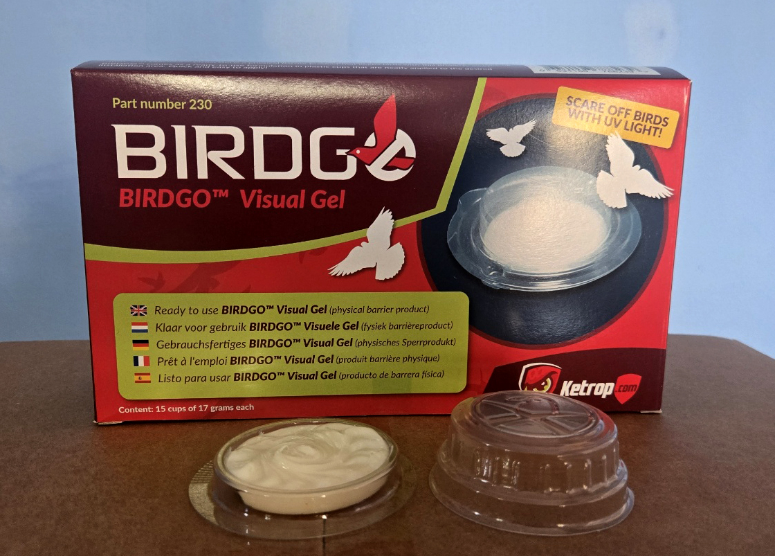 BIRD GO
